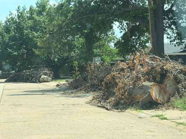 News Image City Limb Pickup Completed
