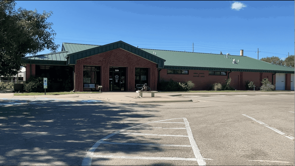 News Image Salina Animal Shelter at Capacity